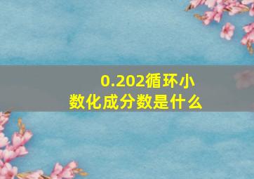 0.202循环小数化成分数是什么