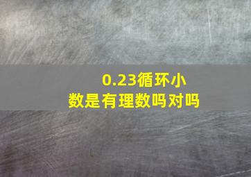 0.23循环小数是有理数吗对吗