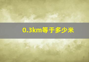 0.3km等于多少米