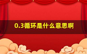 0.3循环是什么意思啊