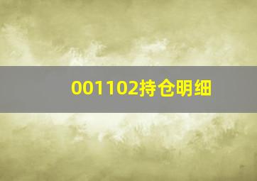 001102持仓明细