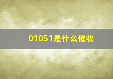 01051是什么催收