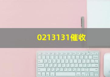 0213131催收