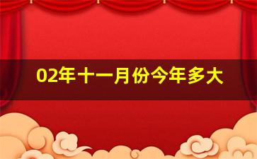 02年十一月份今年多大