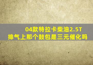 04款特拉卡柴油2.5T排气上那个鼓包是三元催化吗