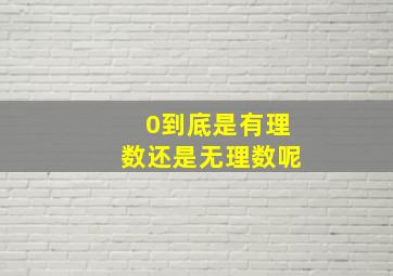 0到底是有理数还是无理数呢