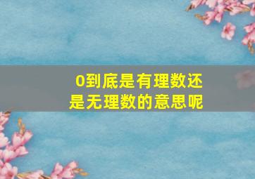 0到底是有理数还是无理数的意思呢