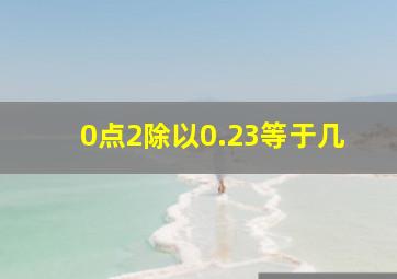 0点2除以0.23等于几