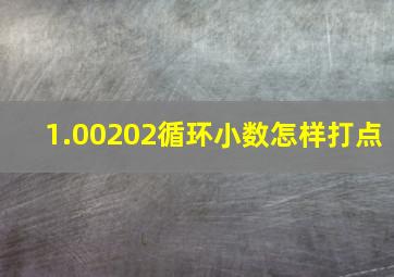 1.00202循环小数怎样打点