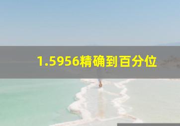 1.5956精确到百分位