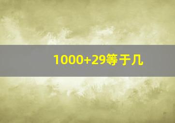 1000+29等于几