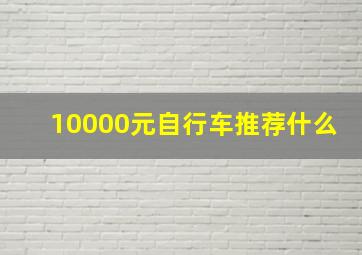 10000元自行车推荐什么