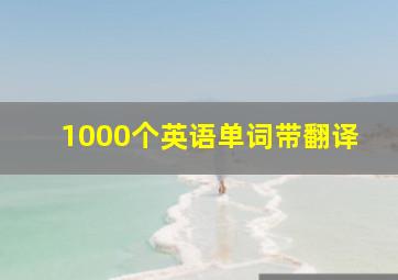 1000个英语单词带翻译