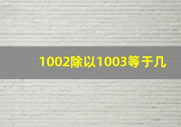 1002除以1003等于几