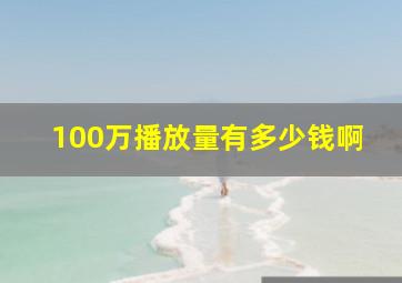 100万播放量有多少钱啊