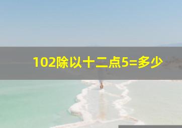 102除以十二点5=多少