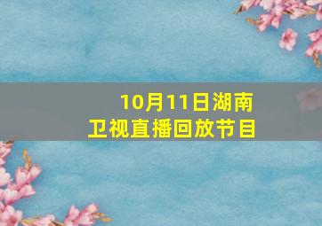 10月11日湖南卫视直播回放节目