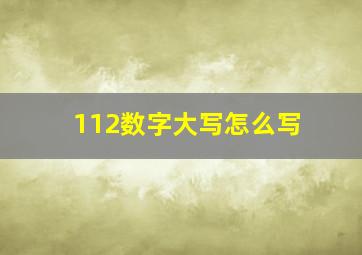 112数字大写怎么写