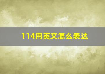 114用英文怎么表达