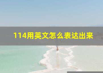 114用英文怎么表达出来