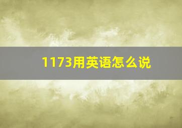 1173用英语怎么说