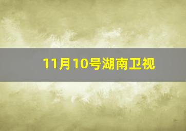 11月10号湖南卫视