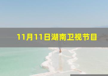 11月11日湖南卫视节目