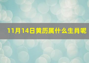 11月14日黄历属什么生肖呢