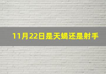 11月22日是天蝎还是射手