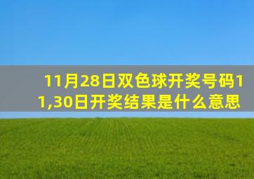 11月28日双色球开奖号码11,30日开奖结果是什么意思