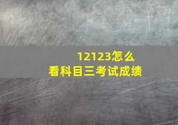 12123怎么看科目三考试成绩