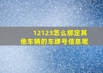 12123怎么绑定其他车辆的车牌号信息呢