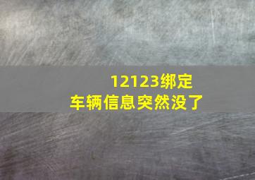 12123绑定车辆信息突然没了