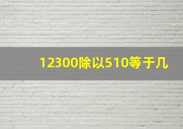 12300除以510等于几