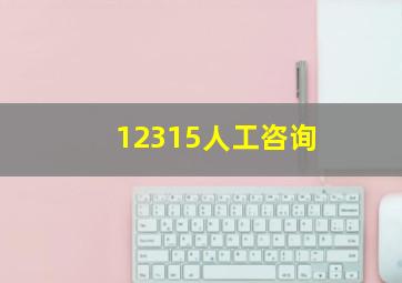 12315人工咨询