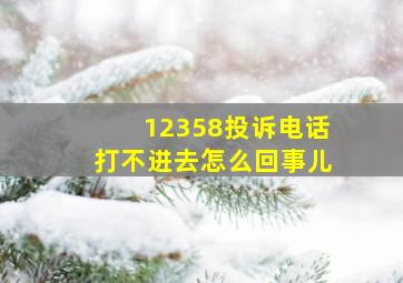 12358投诉电话打不进去怎么回事儿