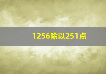 1256除以251点