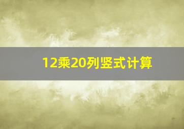 12乘20列竖式计算