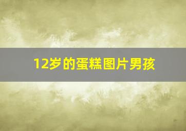 12岁的蛋糕图片男孩