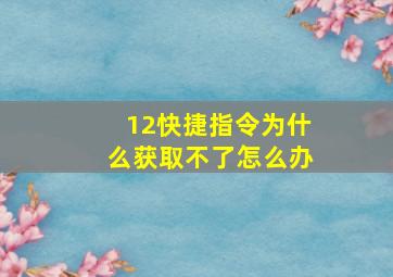 12快捷指令为什么获取不了怎么办