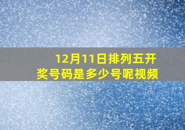 12月11日排列五开奖号码是多少号呢视频