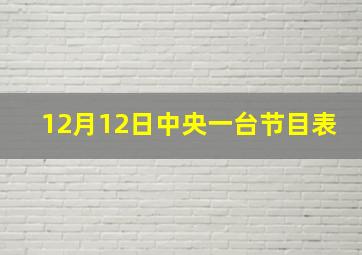 12月12日中央一台节目表