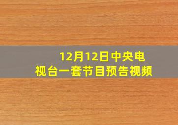 12月12日中央电视台一套节目预告视频