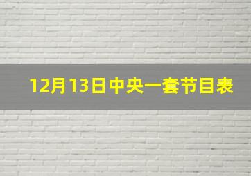 12月13日中央一套节目表