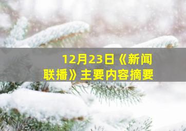 12月23日《新闻联播》主要内容摘要