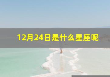 12月24日是什么星座呢