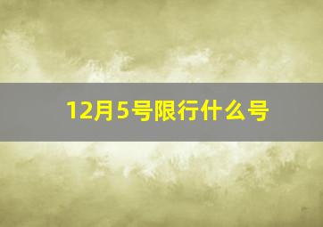 12月5号限行什么号