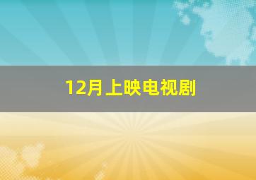 12月上映电视剧