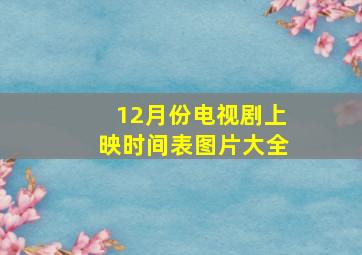 12月份电视剧上映时间表图片大全