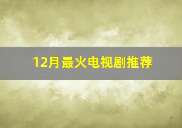 12月最火电视剧推荐